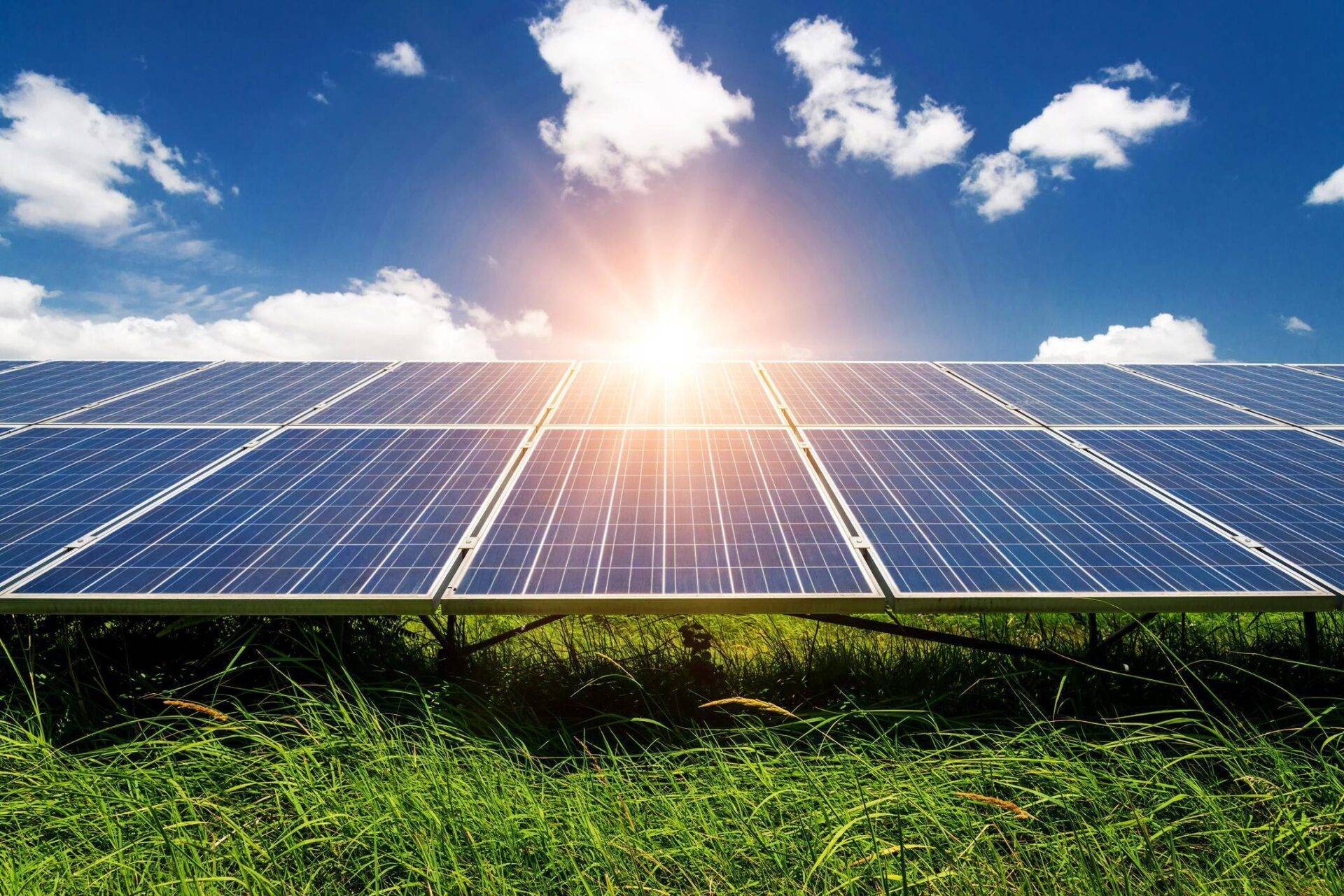 solar companies