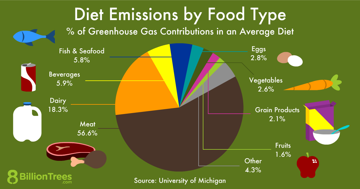 carbon footprint related to food
